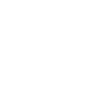 EagleHub logo in white